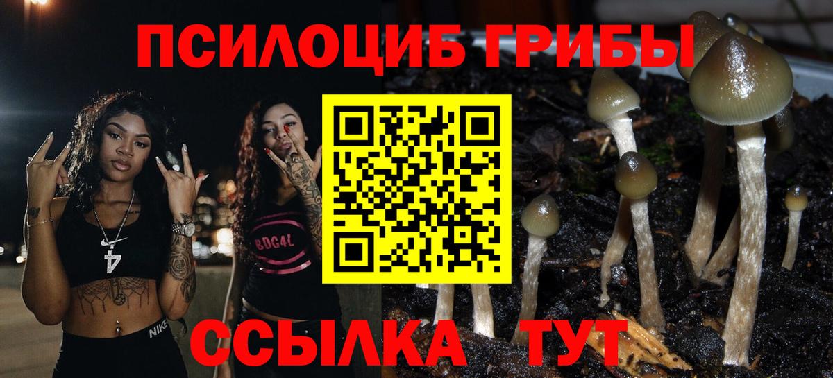 Галлюциногенные грибы прущие грибы  Галлюциногенные грибы Magic Shrooms  Вход с VPN  Воркута 