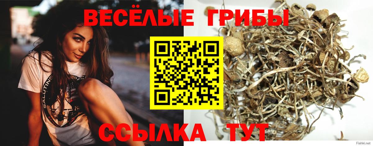 Псилоцибиновые грибы MAGIC MUSHROOMS Воркута